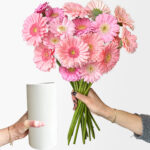 Ahead of the Gerb (21 stems, arrives in white vase)