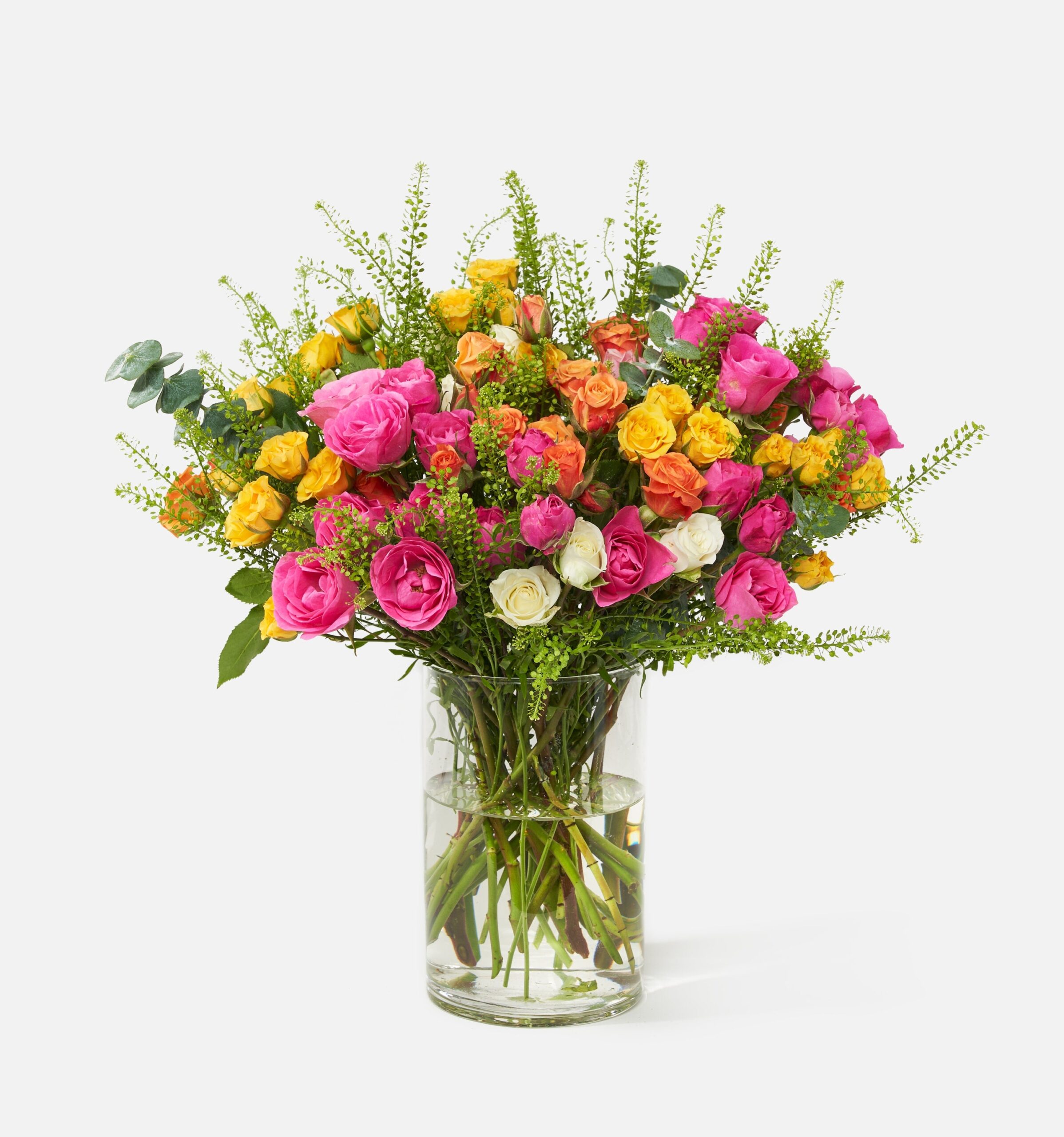 Double_Flamenco_MainImage_PDP-2.jpg Double The Flamenco - Image 1