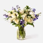 Double the Nantucket