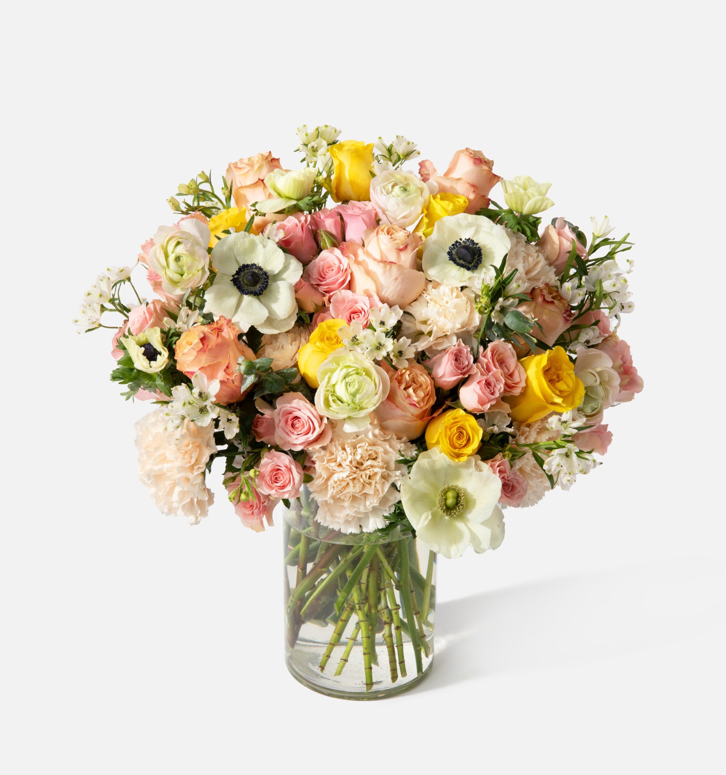 Double_Palazzo_MainImage_PDP-2.jpg Double The Pink Lady - Image 1