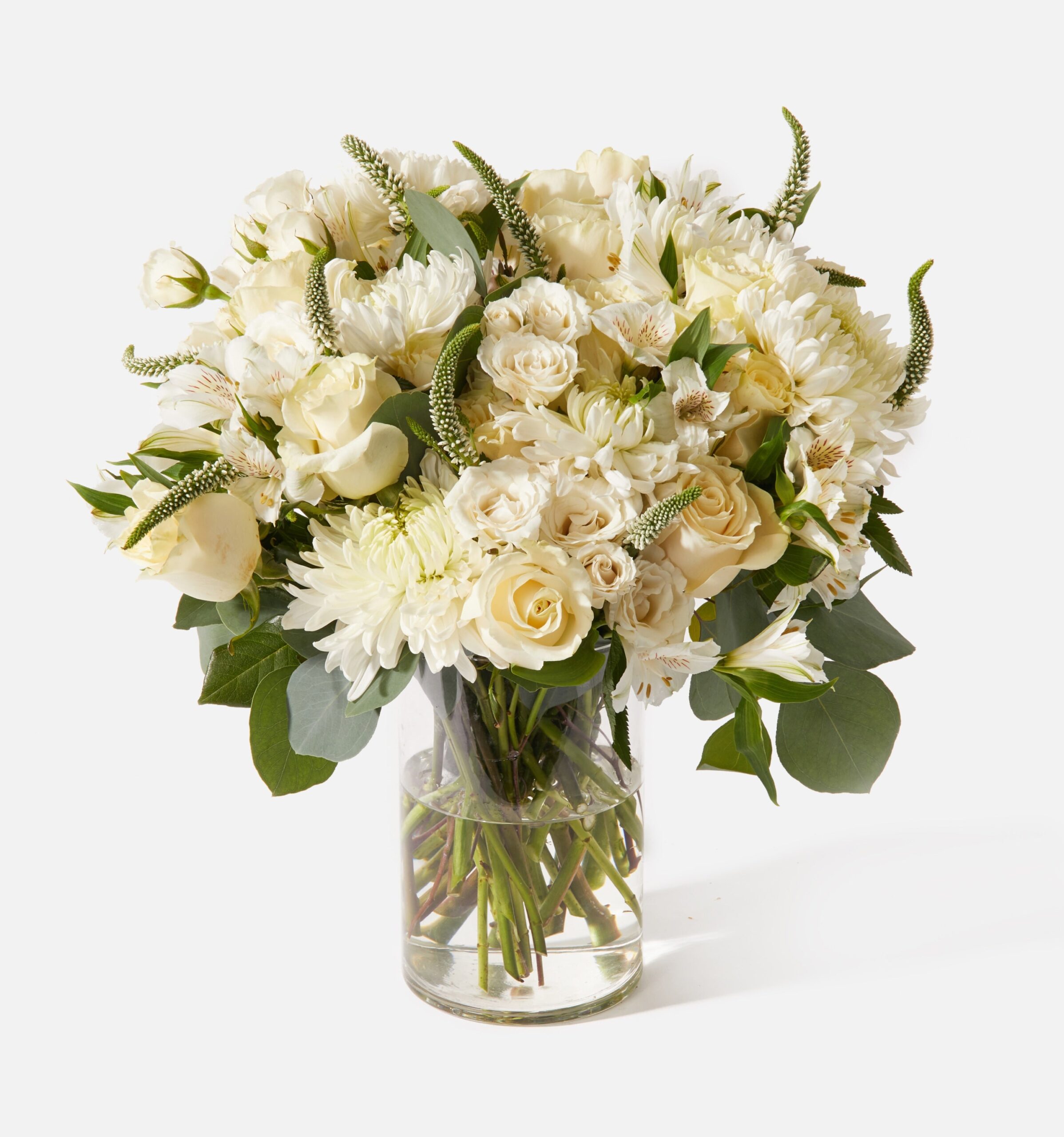 Double_Peace_MainImage_PDP_d3a9e415-5a3b-4273-a301-6e20dbaca85b-2.jpg Double the Peace - Image 1