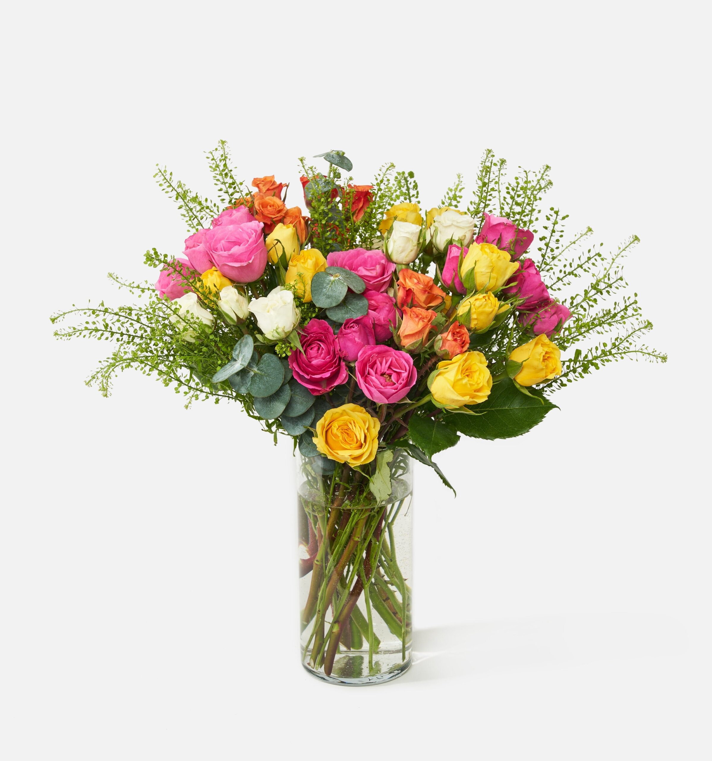 Flamenco_MainImage_PDP_2e8f032c-9be4-4abd-b5b5-f4f593ca8105-2.jpg The Flamenco - Image 1