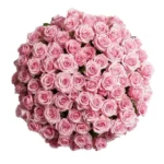 GlobalRose Fresh Cut Pink Roses 1000 40 Bundles 25 Fresh Bouquet for Birthday Anniversary Home Decor Delivery Gift