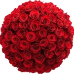 GlobalRose 500 Red Fresh Roses Bouquet Responsibly Sourced Hand-Picked Flowers for Special Occasions Mother's Day Birthday 20