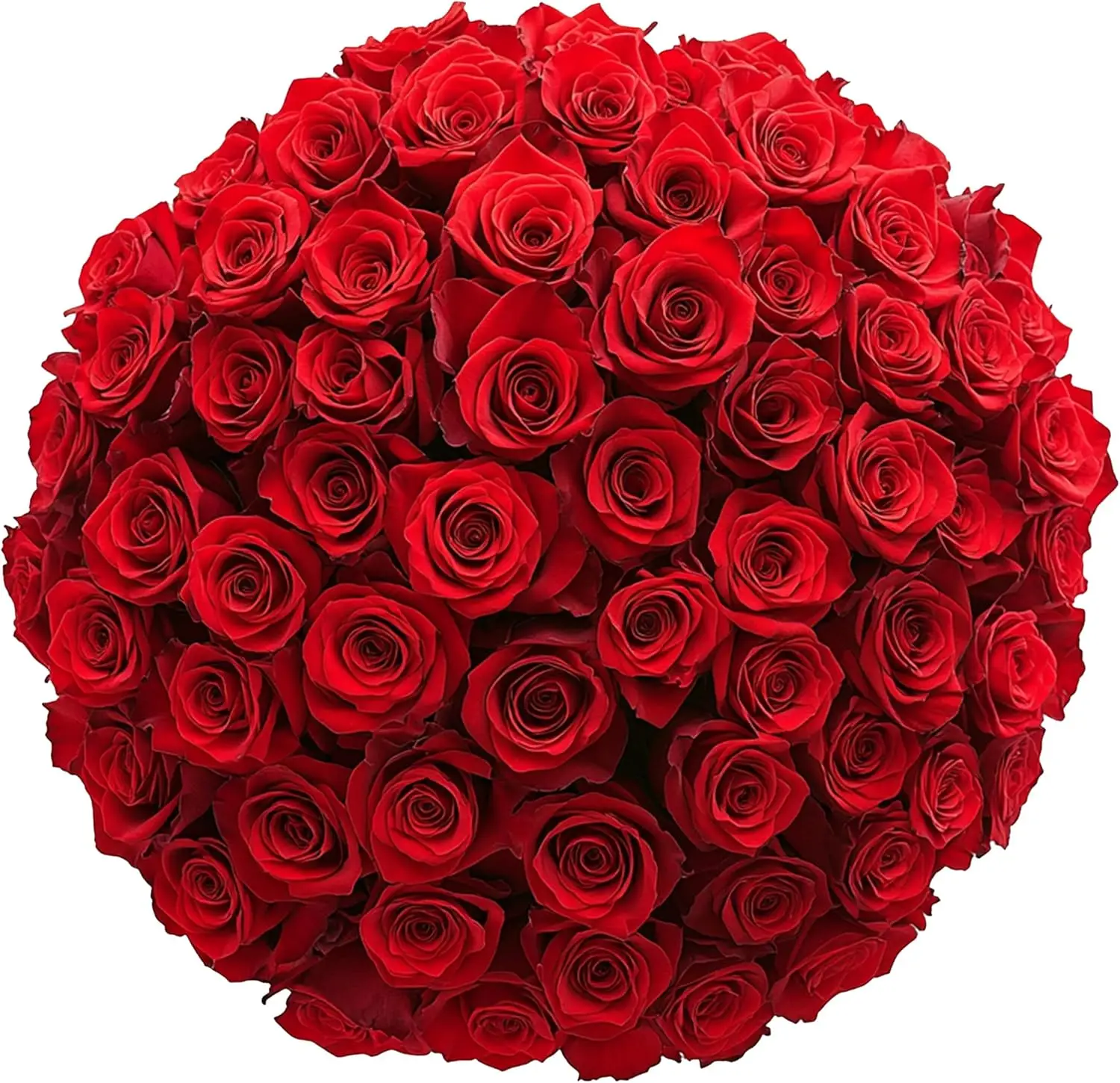 H8de4ce4d9adf4d87919462818d598314f-2.webp GlobalRose 500 Red Fresh Roses Bouquet Responsibly Sourced Hand-Picked Flowers for Special Occasions Mother's Day Birthday 20 - Image 1