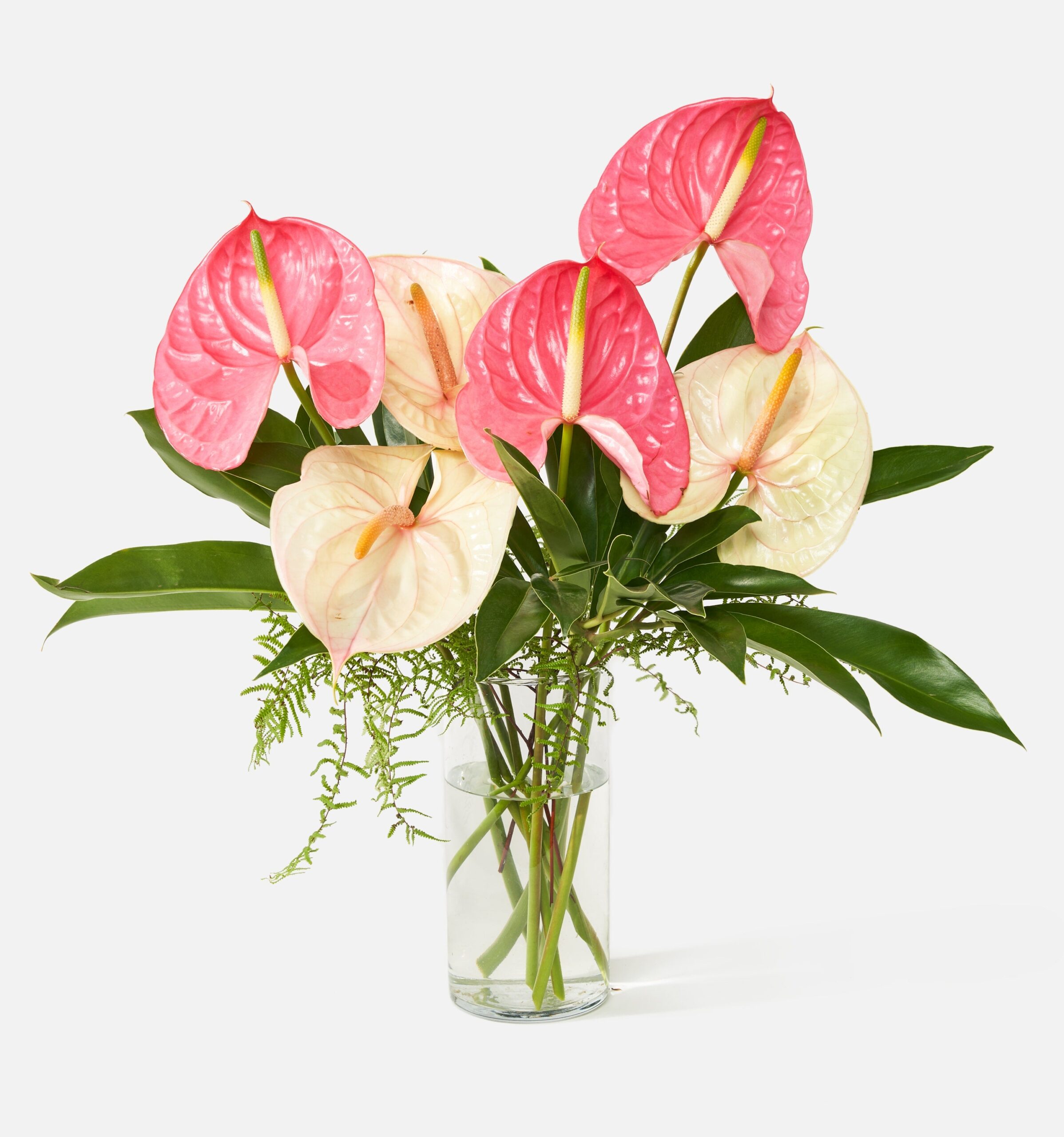 IslandGetaway_MainImage_PDP-2.jpg The Island Getaway - Image 1