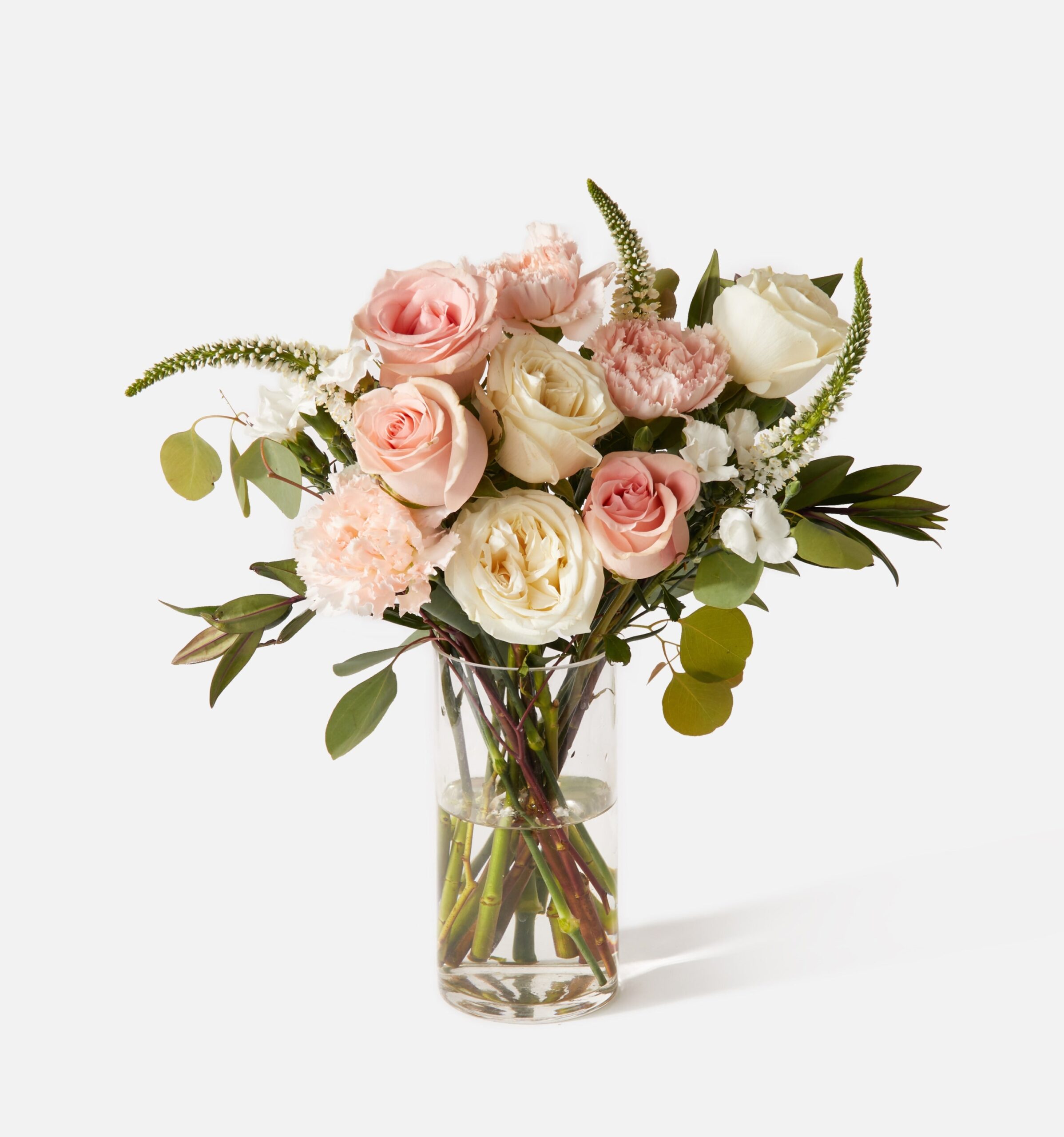 Sorbet_MainImage_PDP_9a10d550-774a-4207-878c-1c0e645f6eba-2.jpg The Sorbet - Image 1