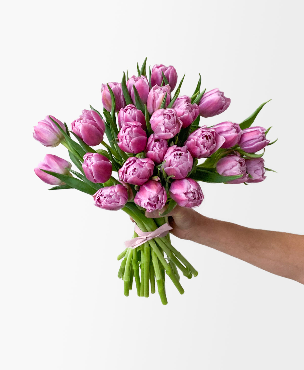 TulipsMauve-PSsmaller-2.jpg Bust a Mauve Double Tulips (25 stems) - Image 1