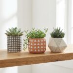 Ceramic Planter Set