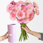 Ahead of the Gerb (21 stems, arrives in vase)